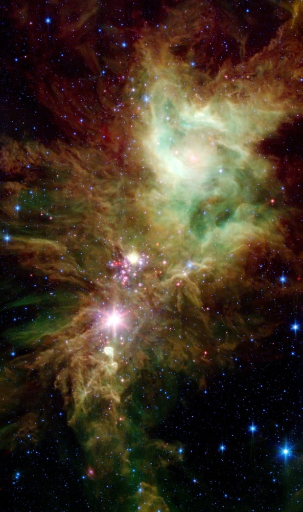 Newborn stars in the Christmas Tree cluster Canvas Art - Stocktrek Images (21 x 36)