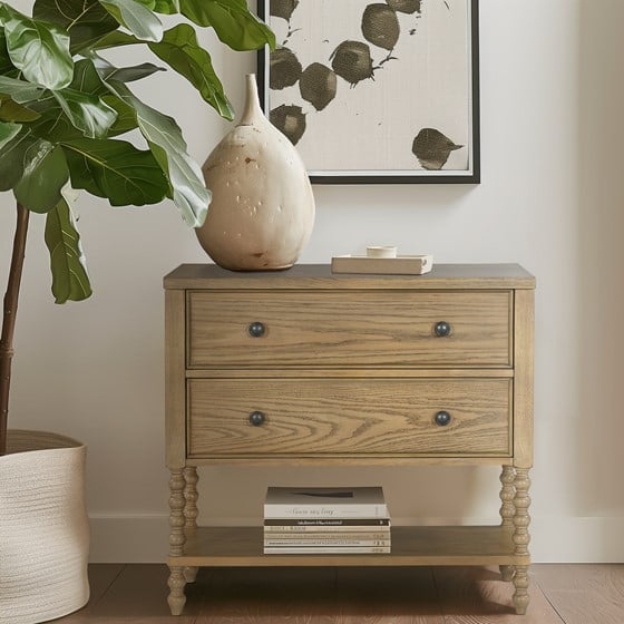 Newboti 2 Drawer Accent Chest 745799952901187