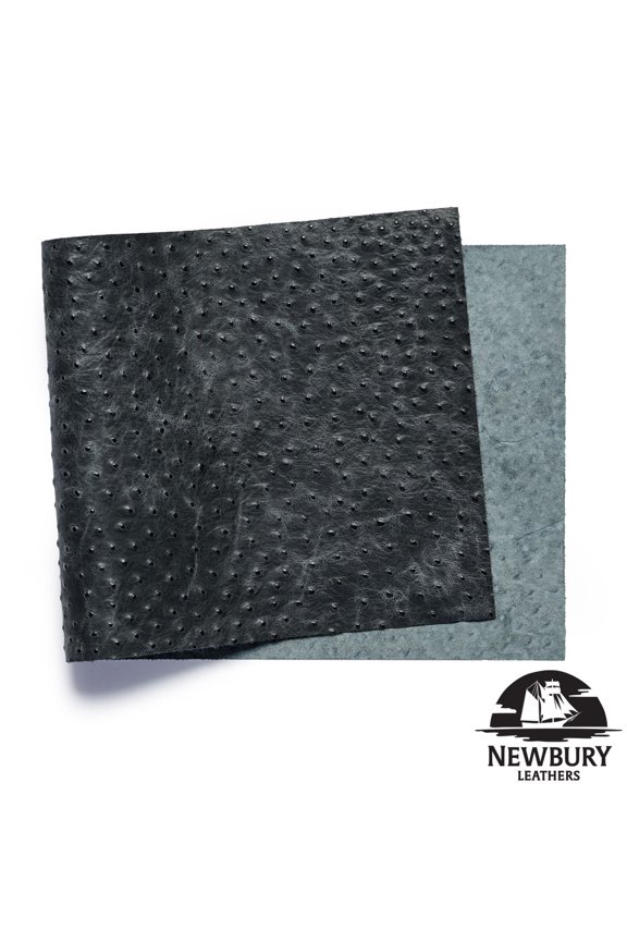 , Ostrich Embossed, Panel, Black