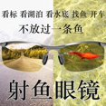 Newce glasses visible underwater three meters professional fishing