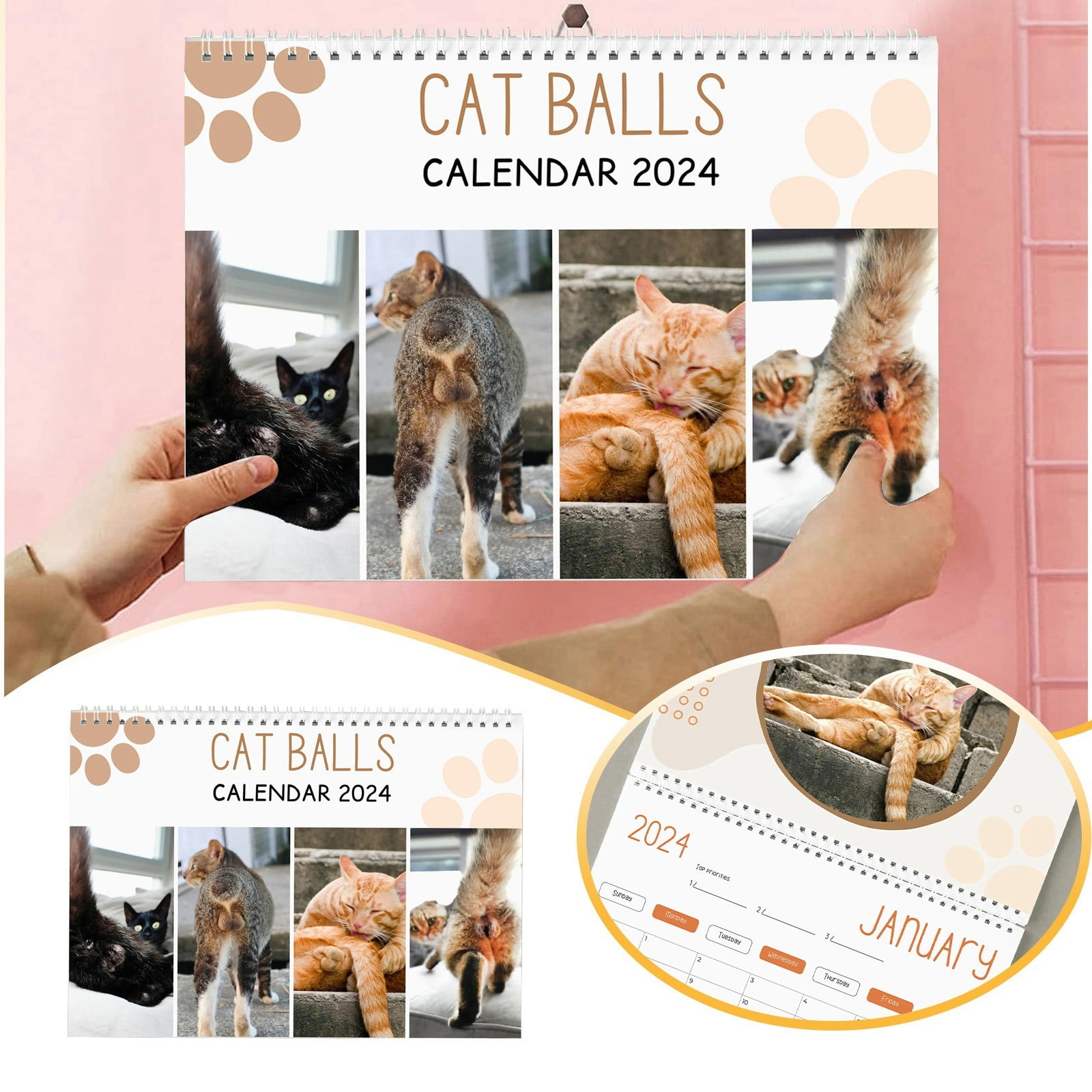 Newest for 2025 The Funniest Of The And Funny Cat Calendar 2024 For Cat