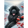 thumbnail image 1 of Newfoundland  - Best of Breed DCR Winter Berries Garden Flag 12" x 17", 1 of 1