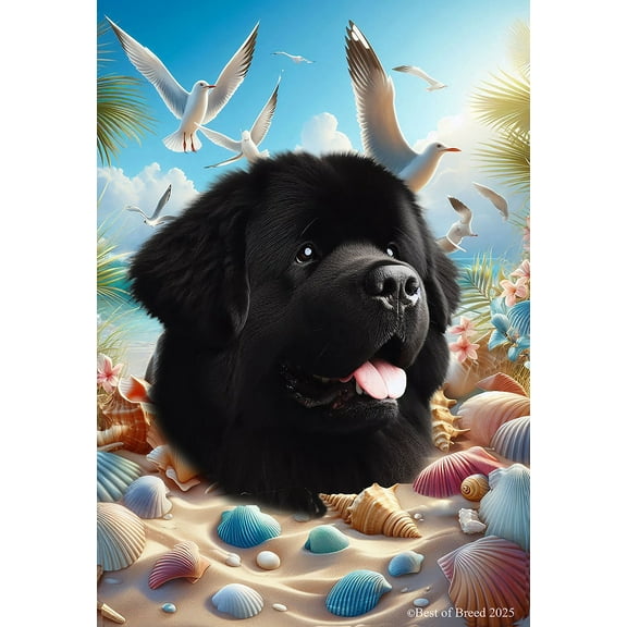 Newfoundland - Best of Breed Summer Beach Outdoor House Flag 28" x 40" Mailbox Flag Dog Flag
