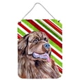 thumbnail image 1 of Newfoundland Candy Cane Holiday Christmas Wall or Door Hanging Prints, 1 of 2