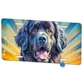 thumbnail image 1 of Newfoundland Dog Pop Art Metal Novelty License Plate, 1 of 7