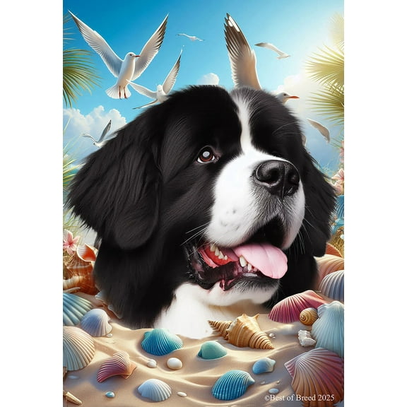 Newfoundland Landseer - Best of Breed Summer Beach Outdoor Garden Flag 12" x 17" Mailbox Flag Dog Flag