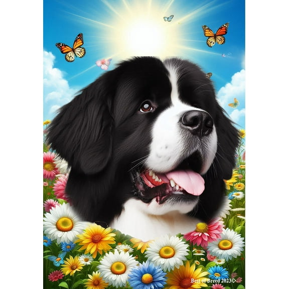 Newfoundland Landseer - Best of Breed Summer Butterflies Outdoor Garden Flag 12" x 17" Mailbox Flag Dog Flag