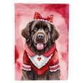 thumbnail image 1 of Newfoundland My Valentine Garden Flag 11.25 in x 15.5 in, 1 of 5