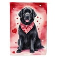 thumbnail image 1 of Newfoundland My Valentine House Flag 28 in x 40 in, 1 of 7