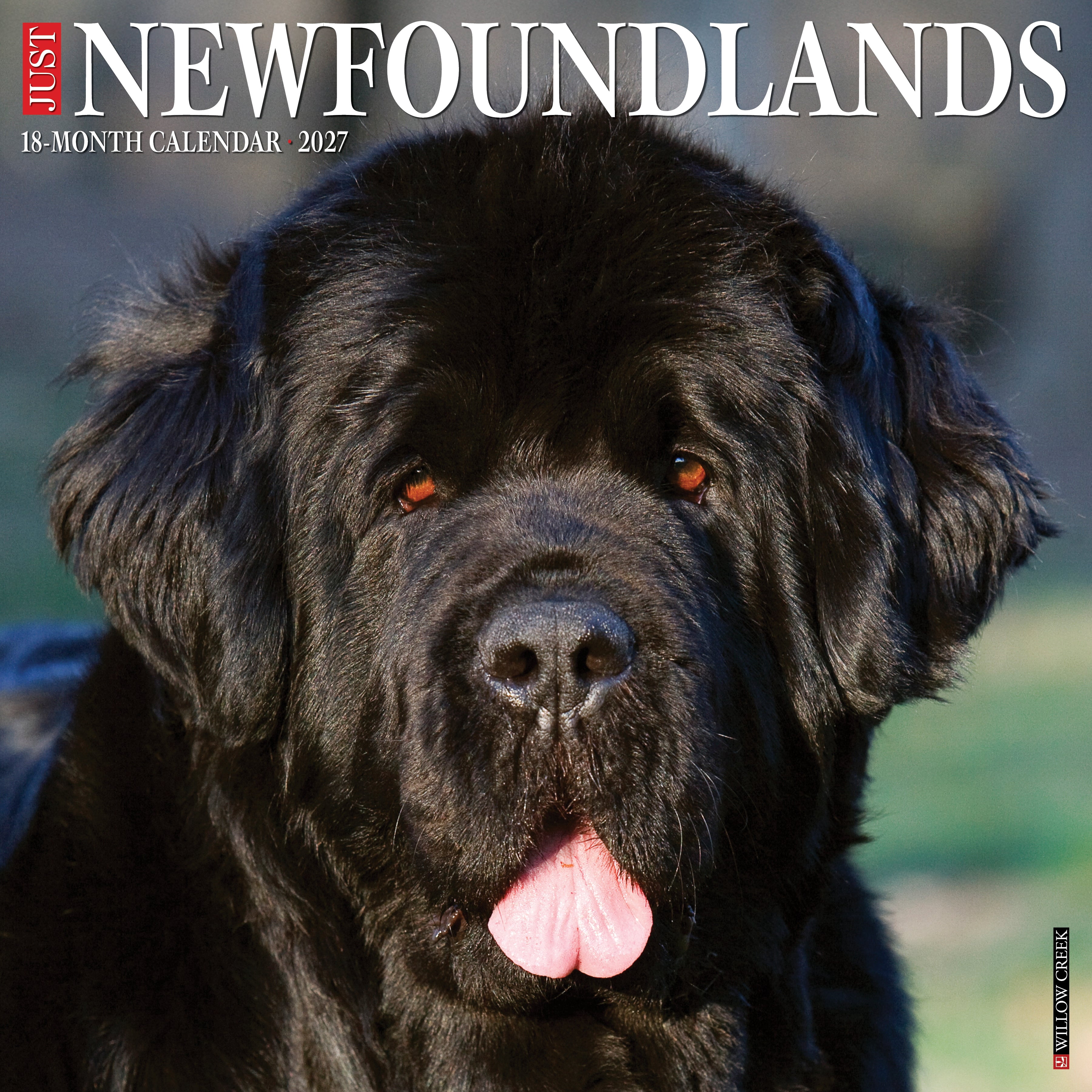 Willow Creek Press, Newfoundlands 2027 Wall Calendar