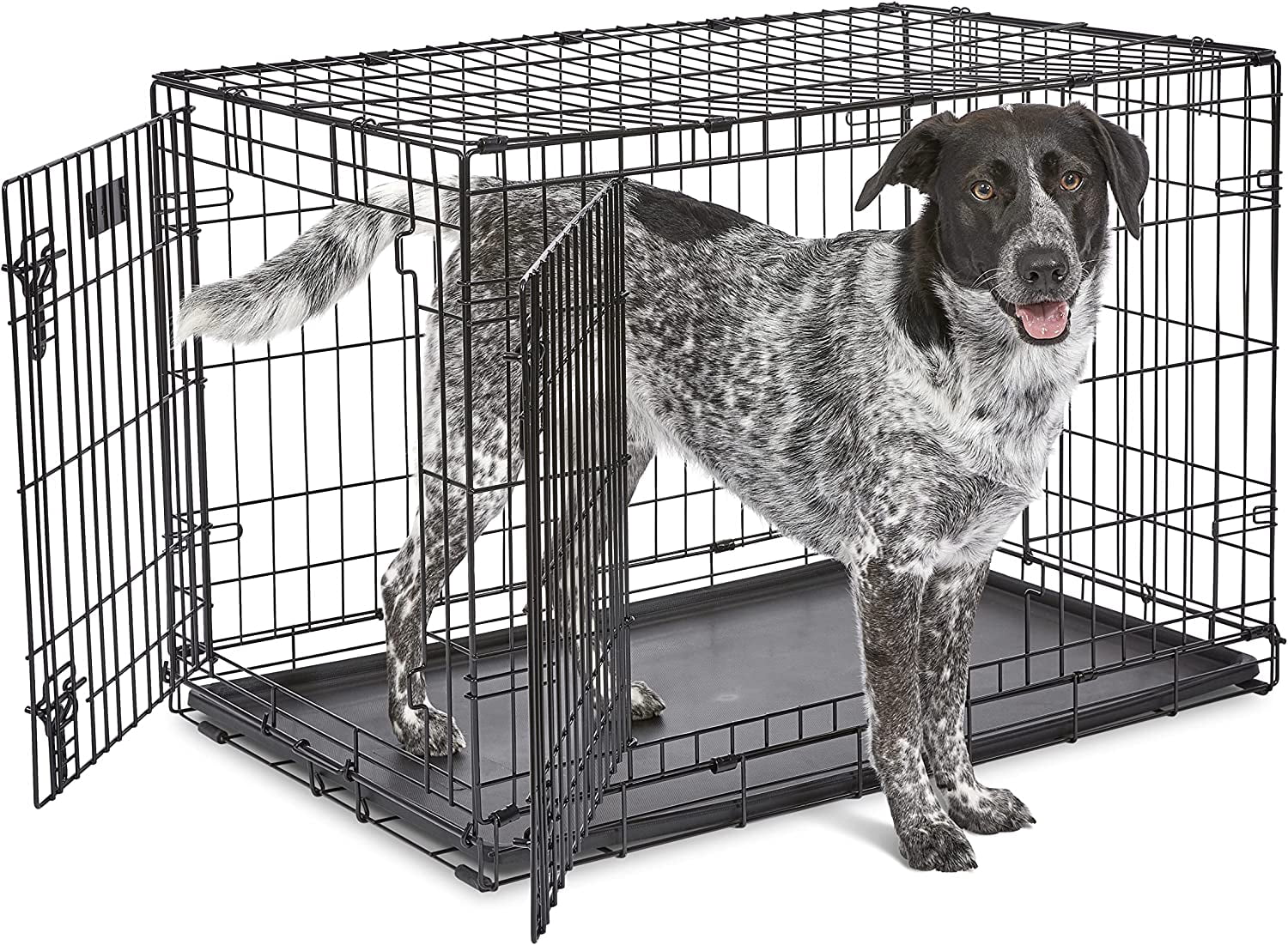 View of Newly Enhanced Single & Double Door Dog Crate, Includes Leak-Proof Pan ...