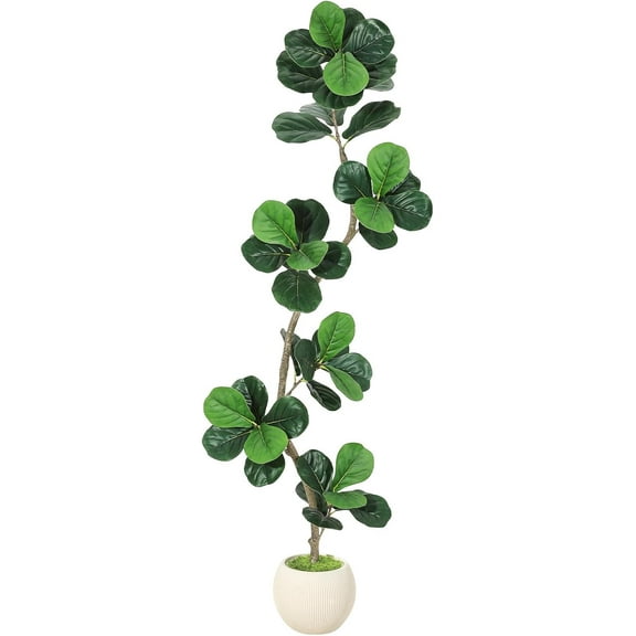 Newly Upgraded: The trunk of the fiddle leaf fig tree comes pre-mounted in a sturdy white decorative pot, which has been newly upgraded with a thicker material , Additionally, our planter has been me