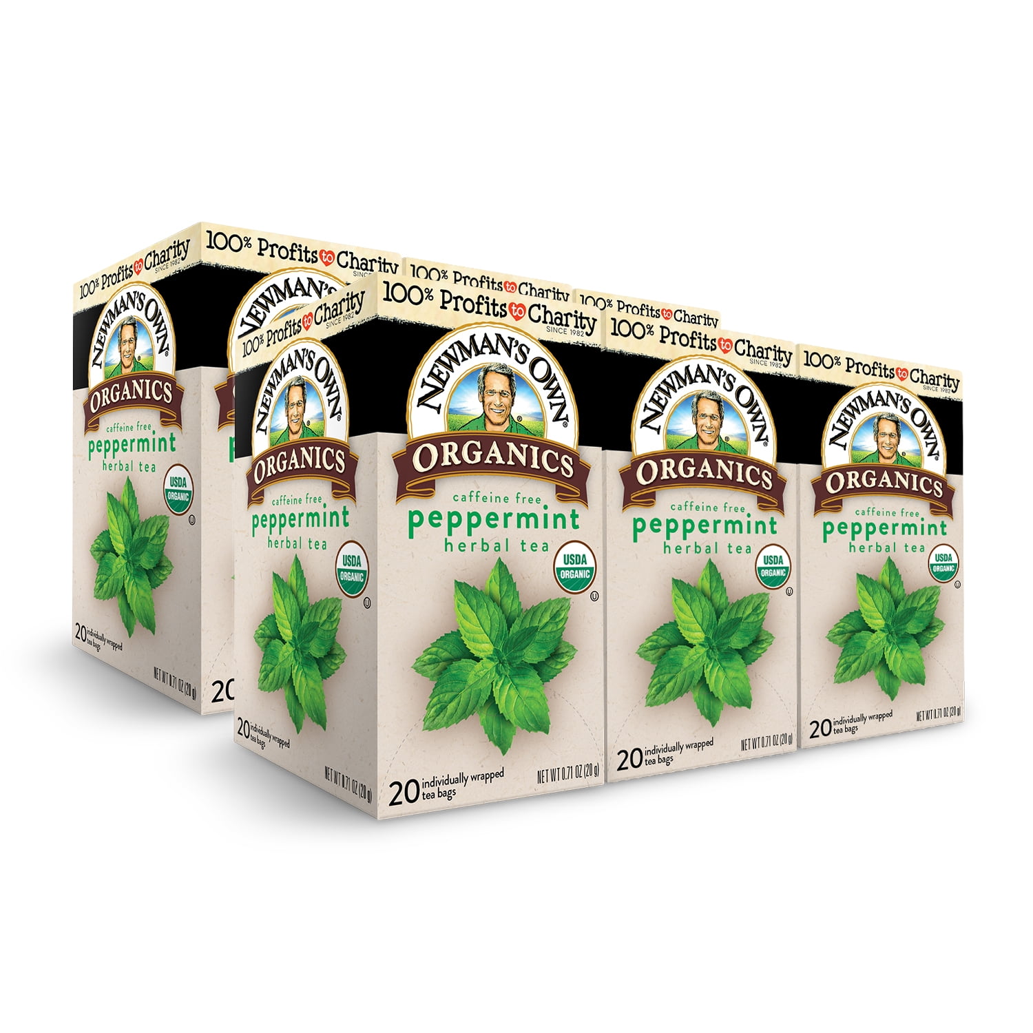 THERMOS Tea Bottle - Mint Meadows – REVIVE Pure Organics