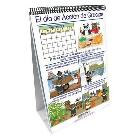 Newpath 2023513 Learning Important People & Events Flip Charts Set - Spanish Language