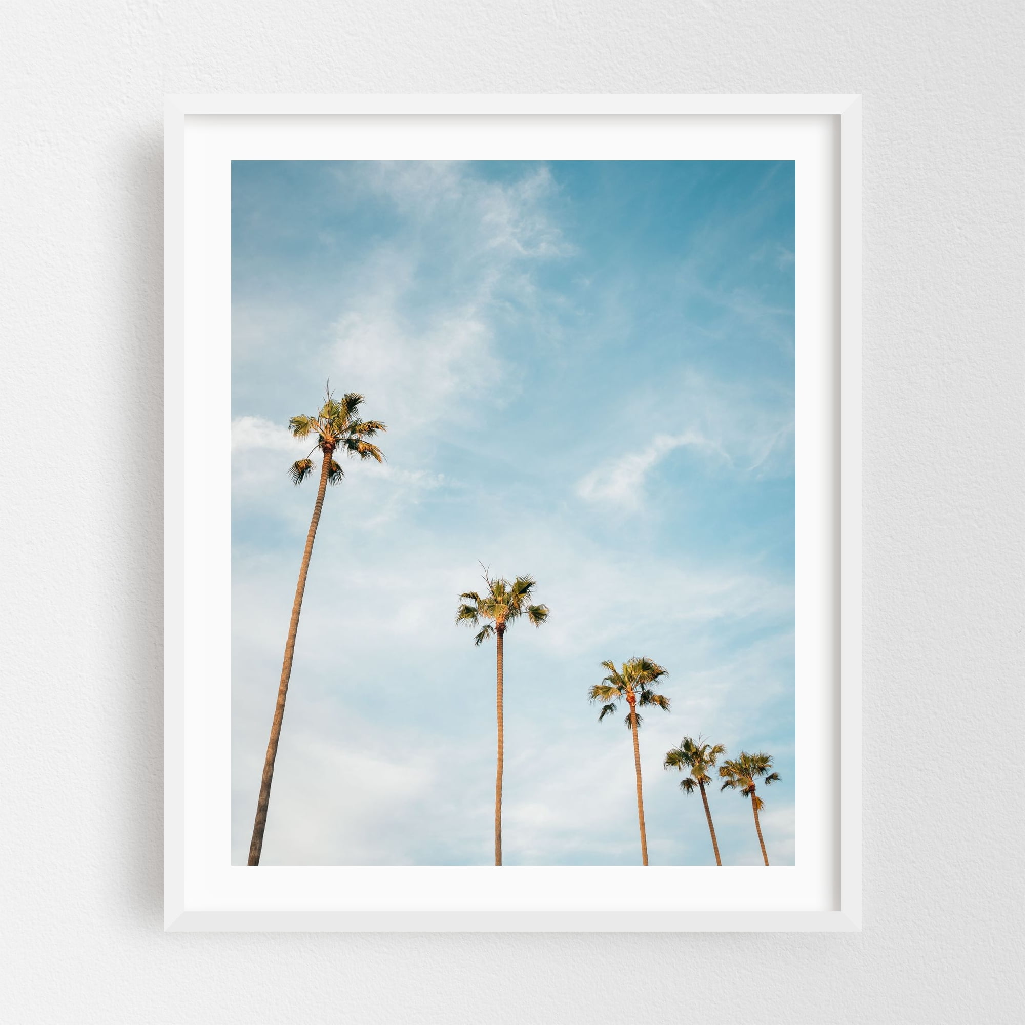 A closer look at Palm Tree Minimalist Decor