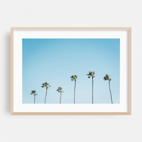 Newport Beach Palms 02 - Newport Beach California Photography Palm Tree Tropical Minimalist Beach Summer Coastal Pastel Oak Framed Wall Art Print 12 x 18 inches