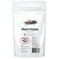 Newport Jerky Company Edible Insects Bag of Edible Crickets Un