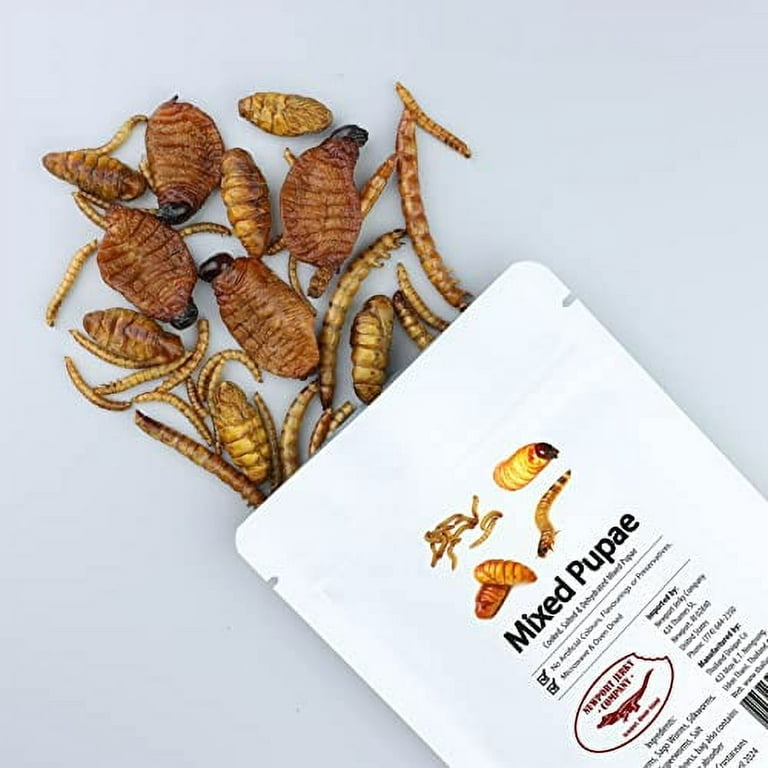 Edible Insects and more - Outlaw Jerky