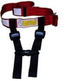 Newroutes Child Airplane Safety Travel Harness The Safety Restraint