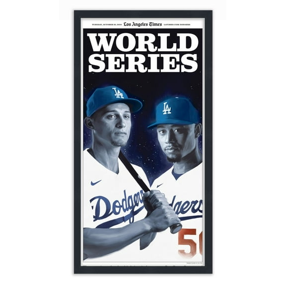 Newspaper Frame - Made to Display Newspapers Measuring  11x22.5 inches