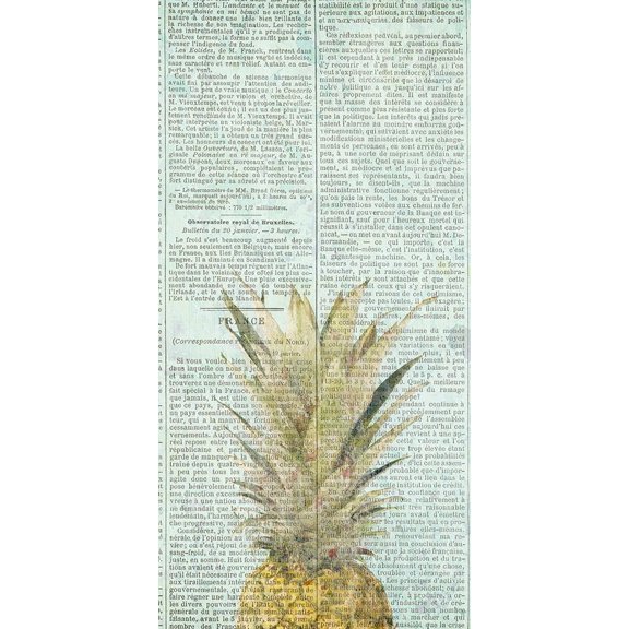 Newspaper Pineapple Poster Print by Allen Kimberly (18 x 36)