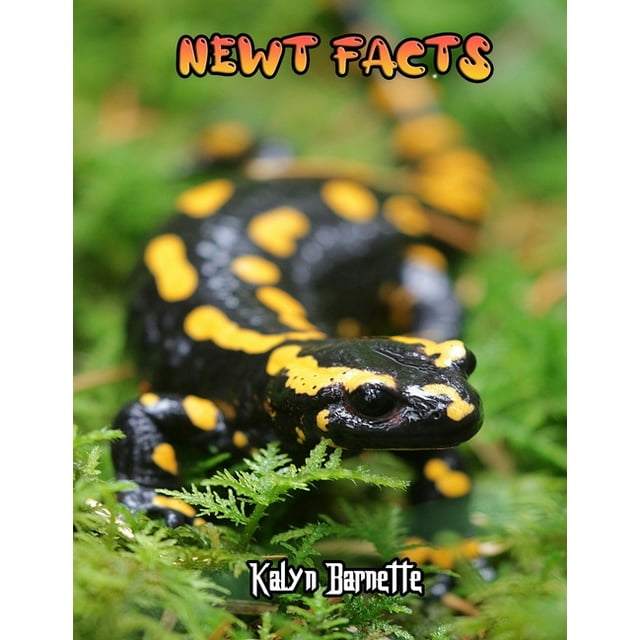 Newt Facts : NEWT fact for girl age 1-10 NEWT fact for boy age 1-10 facts about all about NEWT (Paperback)