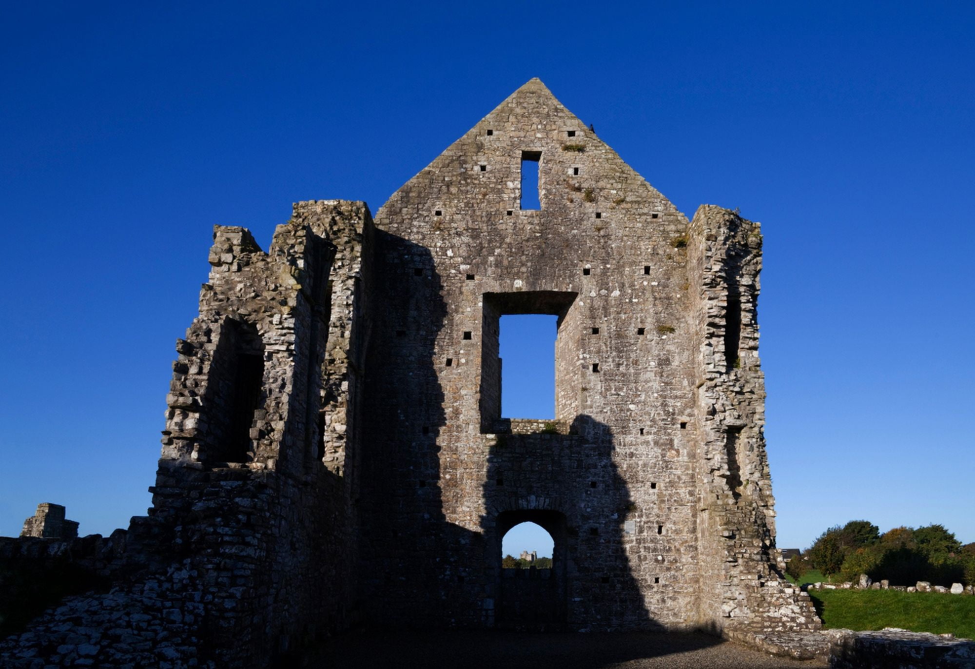 Newtown Cathedral ruins Trim County Meath Ireland Canvas Art - Panoramic Images (24 x 18)