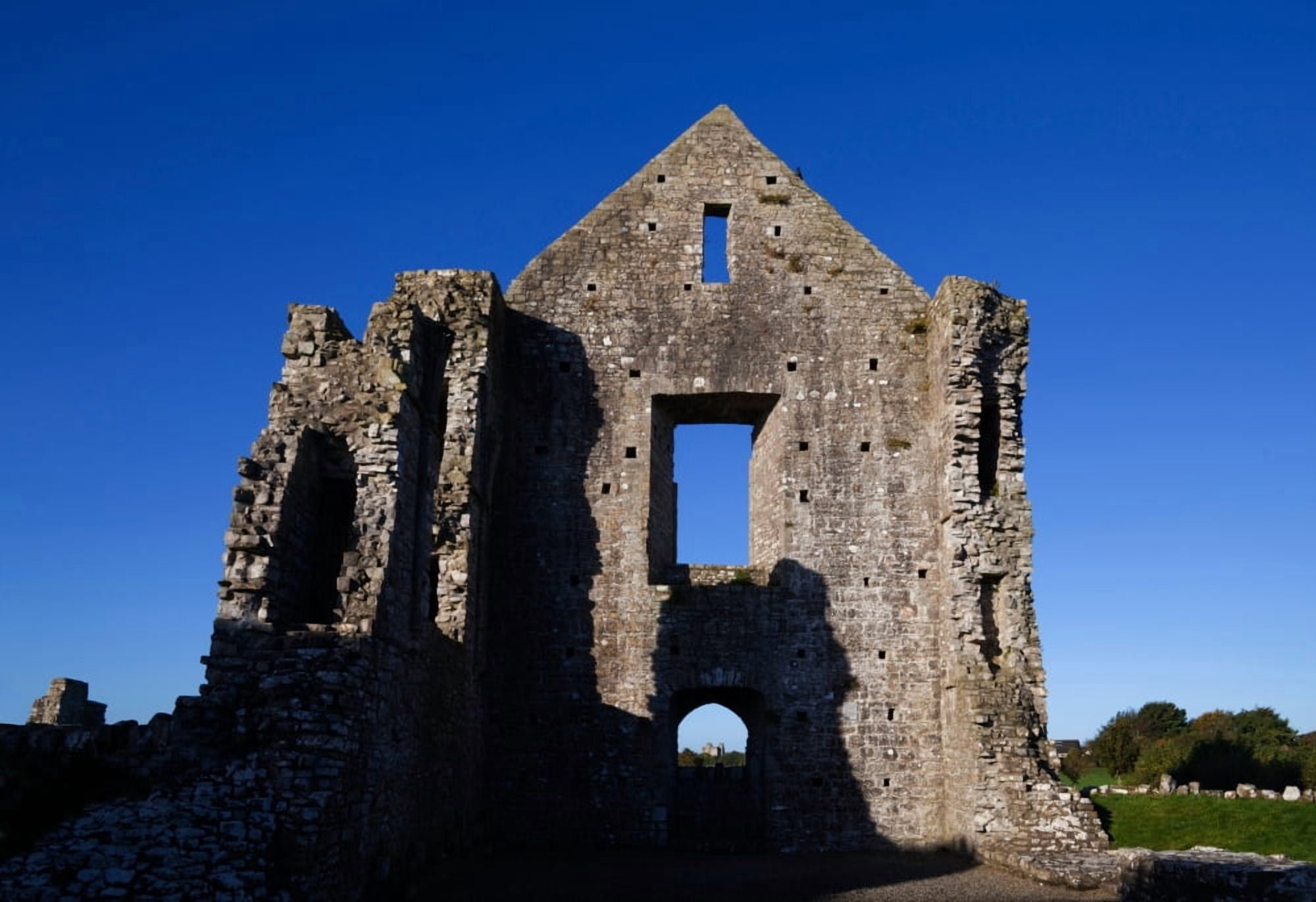 Newtown Cathedral ruins Trim County Meath Ireland Canvas Art - Panoramic Images (36 x 24)