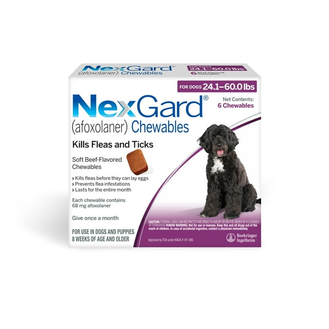 NexGard (Afoxolaner) Flea & Tick Protection for Dogs, 24.160 lbs, Beef