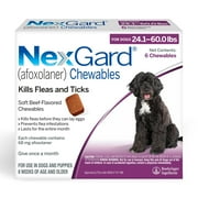NexGard Flea & Tick Chewables for Dogs 24.1-60 lbs, Beef Flavor