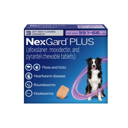 NexGard Plus Flea, Tick & Heartworm Chewable for Dogs 33.1-66 lbs, Beef Flavor, Purple Box
