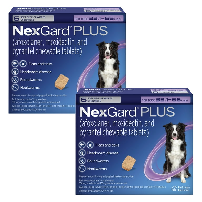 Heartworm Disease Flea Tick And Heartworm Medicine Simparica Trio