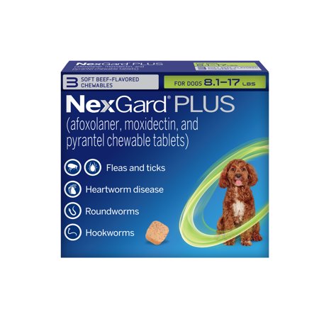 NexGard Plus Flea, Tick & Heartworm Chewable for Dogs 8.1-17 lbs, Beef Flavor, Green Box