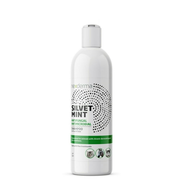 Medicated antibacterial shampoo 2025
