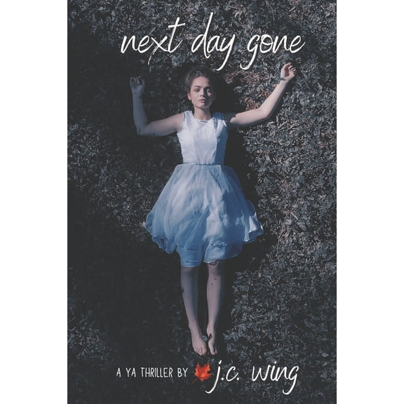 Next Day Gone (Paperback)
