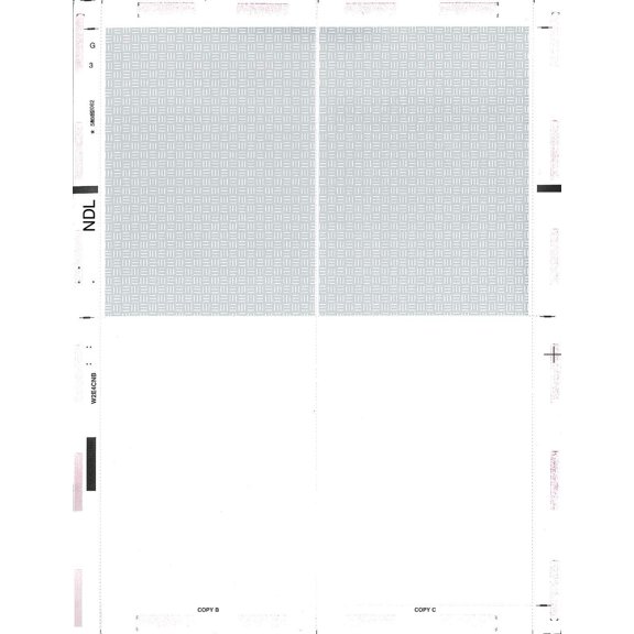 Next Day Labels Pressure Seal Tax Forms Blank, 8-1/2 x 11