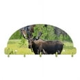 thumbnail image 1 of Next Innovations  Moose Key Rack Organizer, 1 of 2