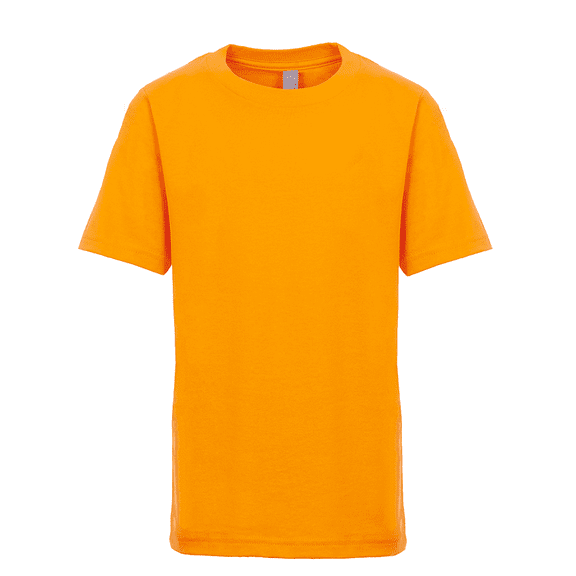 Next Level Apparel Youth Premium T-Shirt