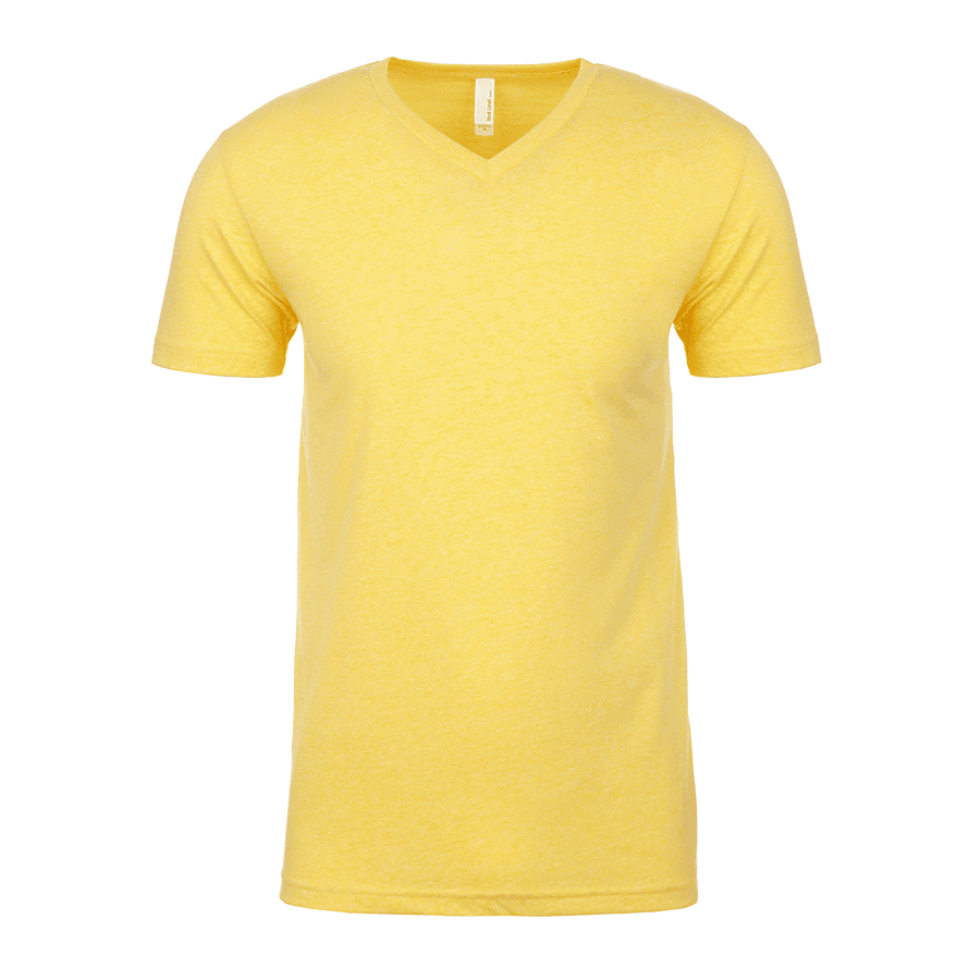 Next Level Apparel Men's CVC V-Neck T-Shirt - Walmart.com