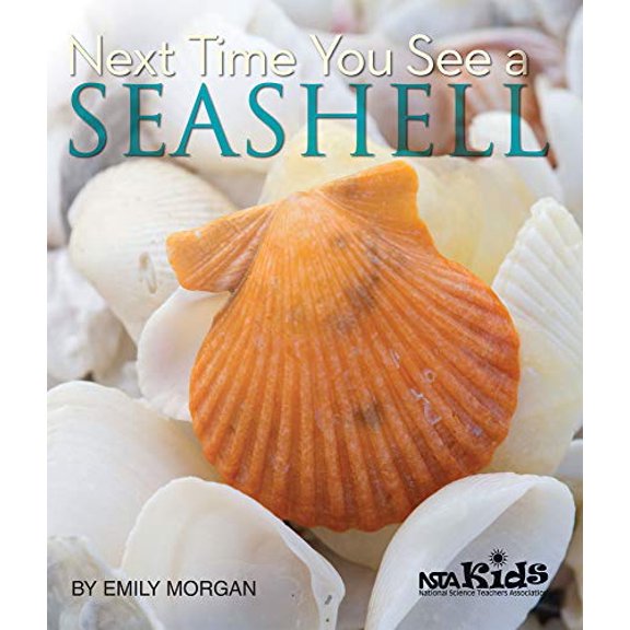 Pre-Owned Next Time You See a Seashell (Paperback) 1936959151 9781936959150