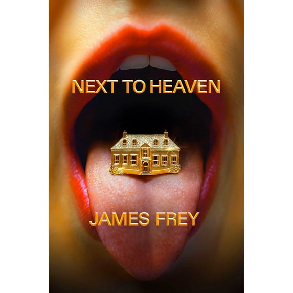Next to Heaven: A Novel (Hardcover)