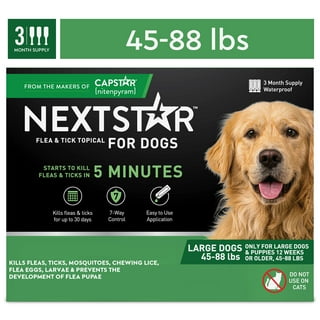 Dog Flea and Tick in Dogs Walmart