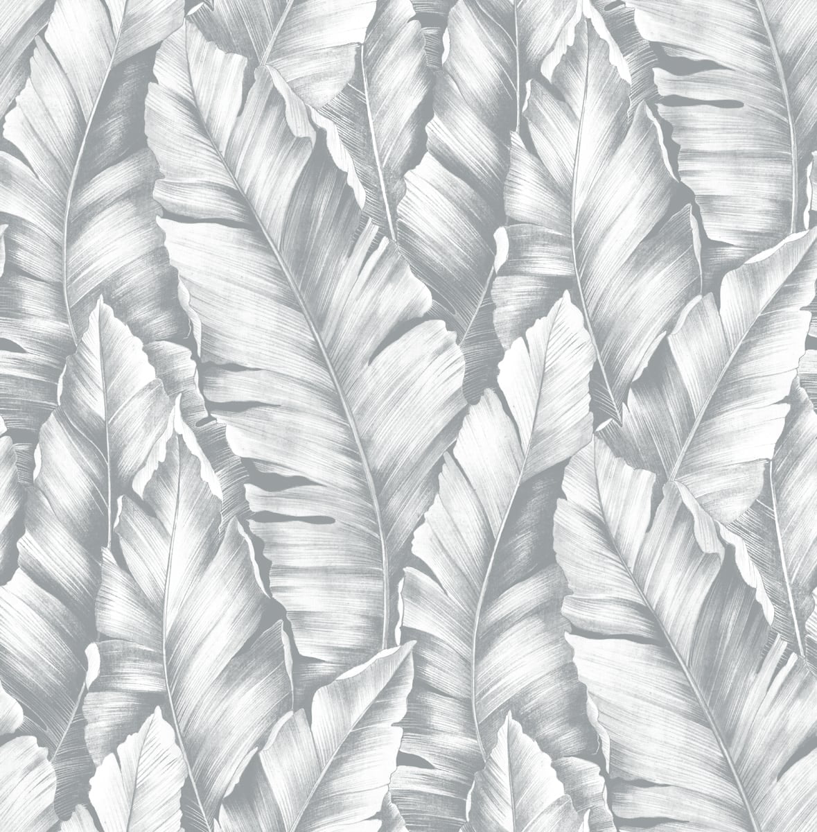 Daydream Gray Tropical Banana Leaves Peel and Stick Wallpaper