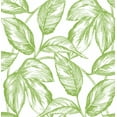thumbnail image 1 of NextWall Greenery Sketched Leaves Peel and Stick Wallpaper, 1 of 9