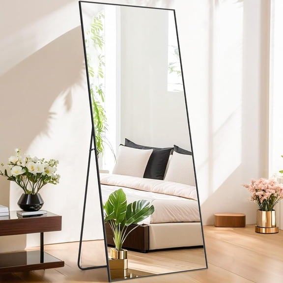 Nextay 64" x 21" Full Length Mirror Rectangular Standing Full Body Mirror Floor Mirror for Bedroom Cloakroom, Black