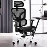 Nexthro Ergonomic Office Chair Mesh Chair with High Back Adjustable Headrest, Lumbar Support, 3D Armrest & Footrest, Swivel Computer Desk ChairBlack