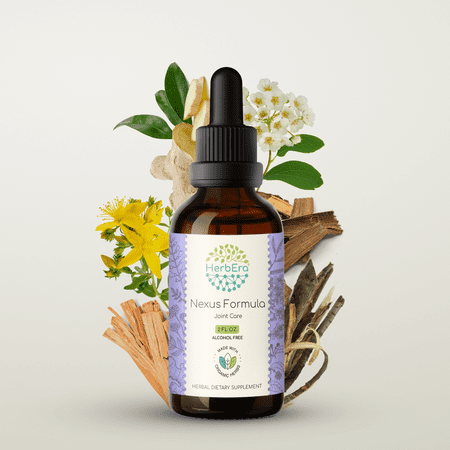 HerbEra Nexus Formula Extract, Dietary Supplement Herbal Formula, Made from Ginger Root, Meadowsweet Herb, St. John's Wort Herb, White Willow Bark 2 oz