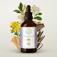 thumbnail image 1 of HerbEra Nexus Formula Extract, Dietary Supplement Herbal Formula, Made from Ginger Root, Meadowsweet Herb, St. John's Wort Herb, White Willow Bark 4 oz, 1 of 8