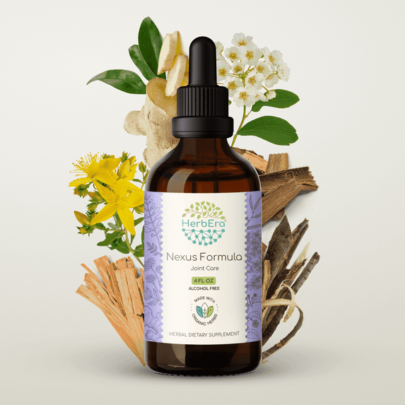 HerbEra Nexus Formula Extract, Dietary Supplement Herbal Formula, Made from Ginger Root, Meadowsweet Herb, St. John's Wort Herb, White Willow Bark 4 oz