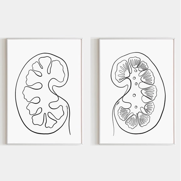 Ney Anatomy Art Urology Wall Art Nieren Urologie Kunst, Set 2, Poster Only